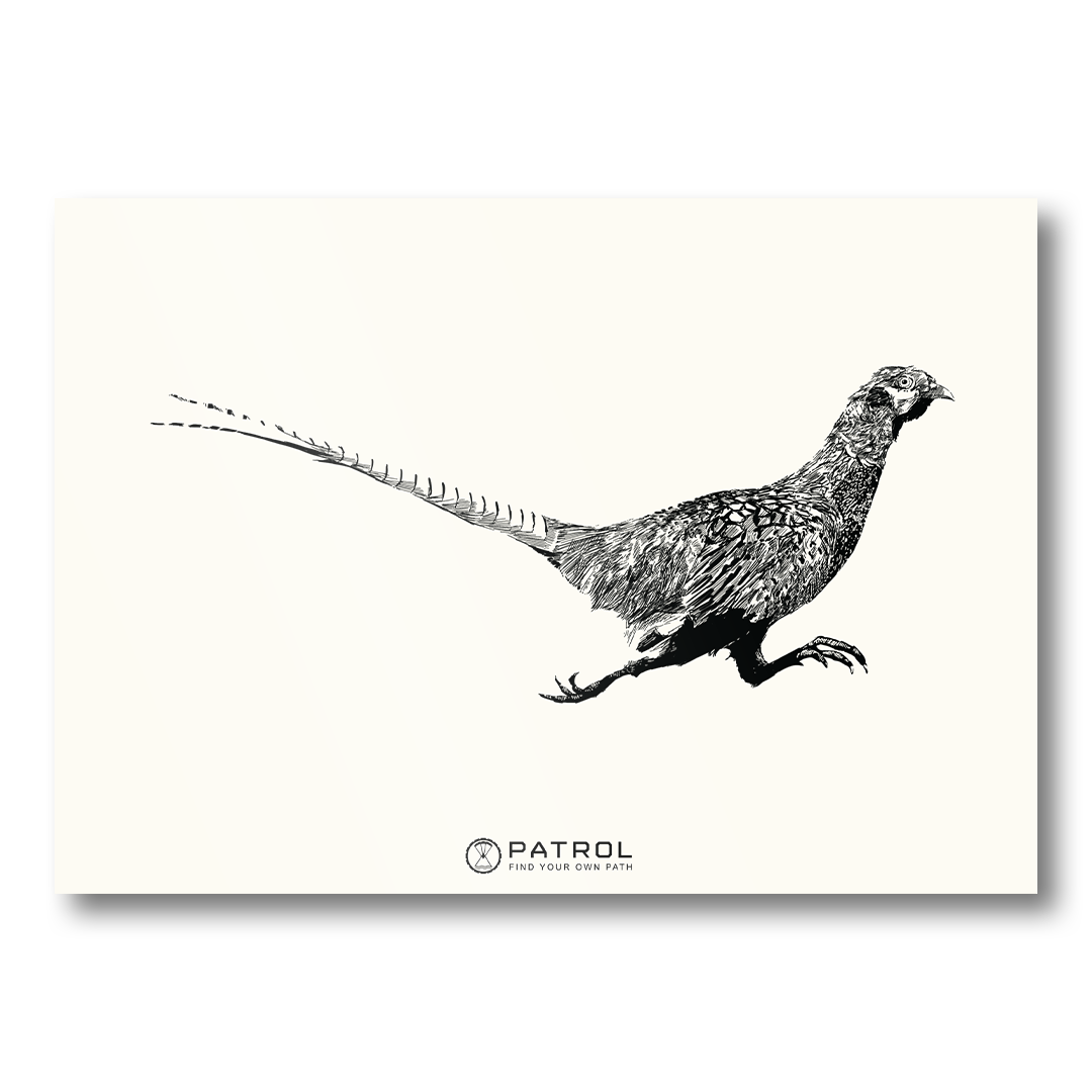 Patrol Field Sports Pheasant Print
