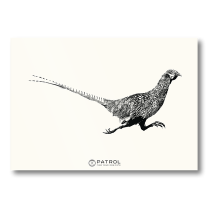 Patrol Field Sports Pheasant Print