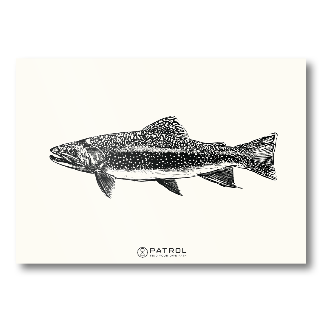 Patrol Field Sports Fish Print