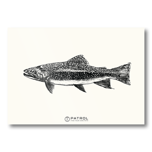 Patrol Field Sports Fish Print