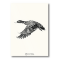Patrol Field Sports Duck Print
