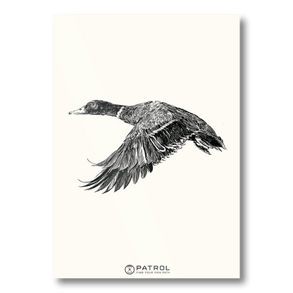 Patrol Field Sports Duck Print