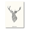 Patrol Field Sports Deer Print