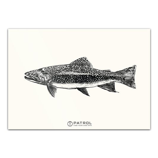 Patrol Field Sports Fish Print
