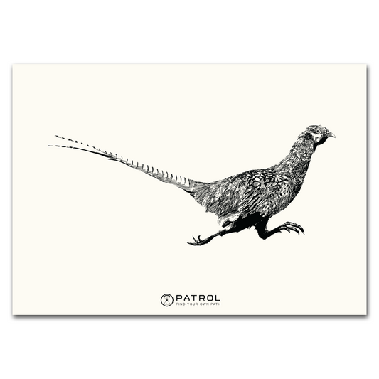 Patrol Field Sports Pheasant Print