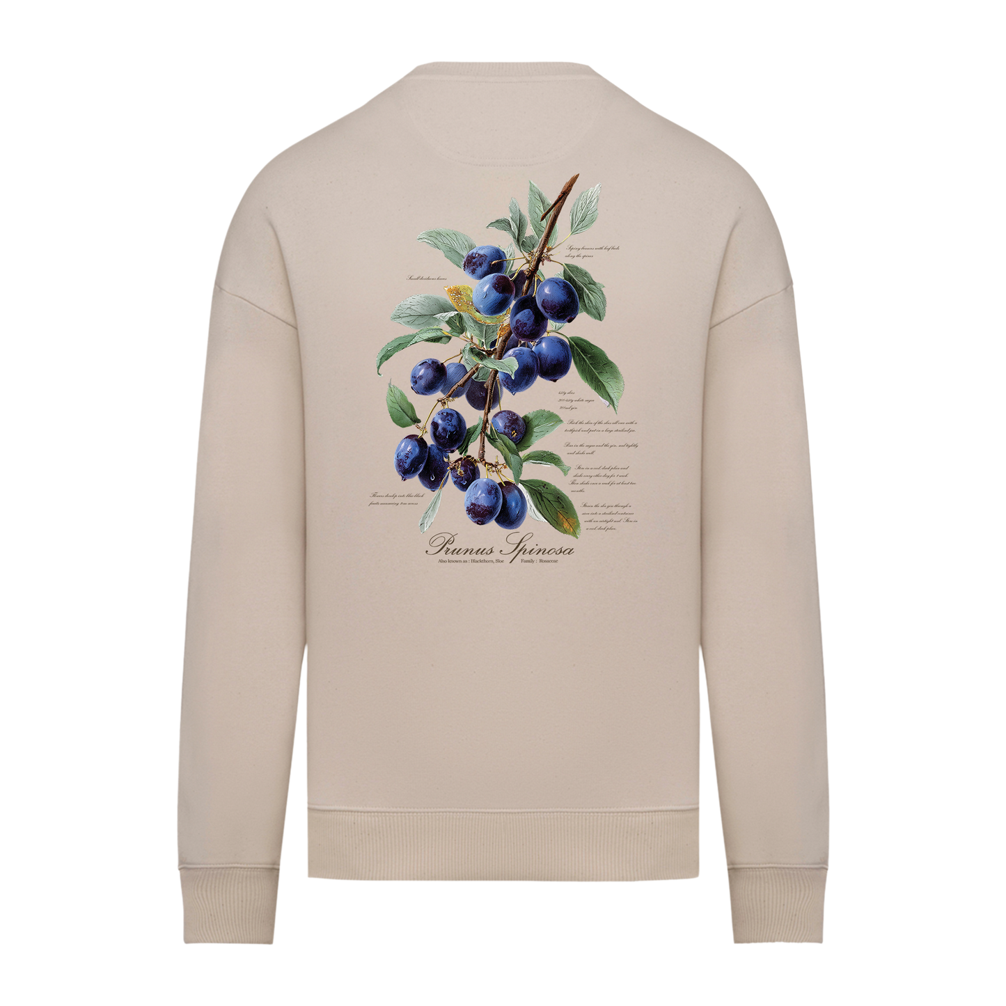 Sloe Sweater
