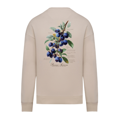 Sloe Sweater