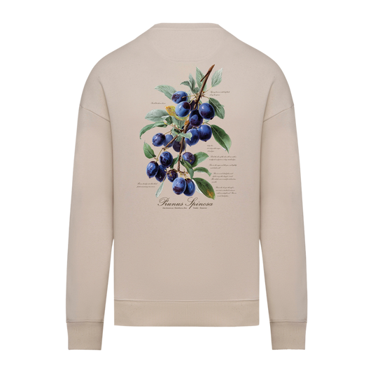 Sloe Sweater